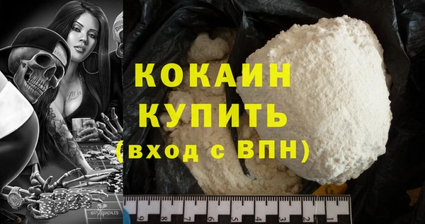 прущие грибы Зерноград