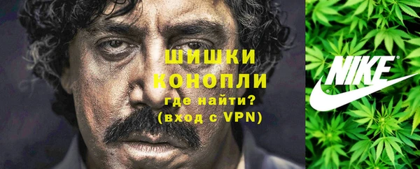 прущие грибы Зерноград