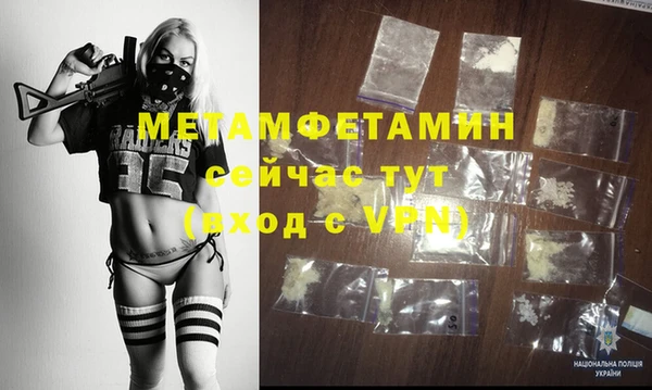 прущие грибы Зерноград