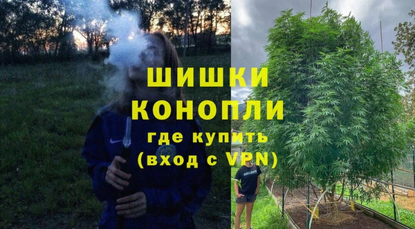 прущие грибы Зерноград