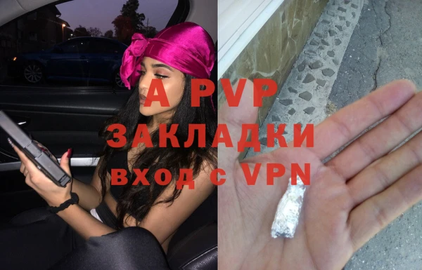 прущие грибы Зерноград