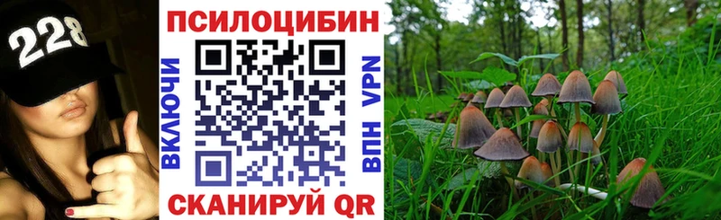 Купить где  Зеленокумск  Галлюциногенные грибы Psilocybe 